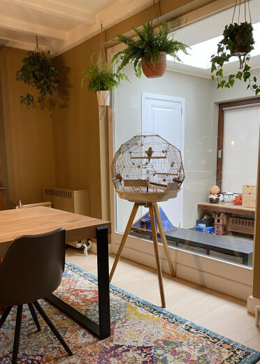 Geo der käfig ist ein blickfang im wohnzimmer!