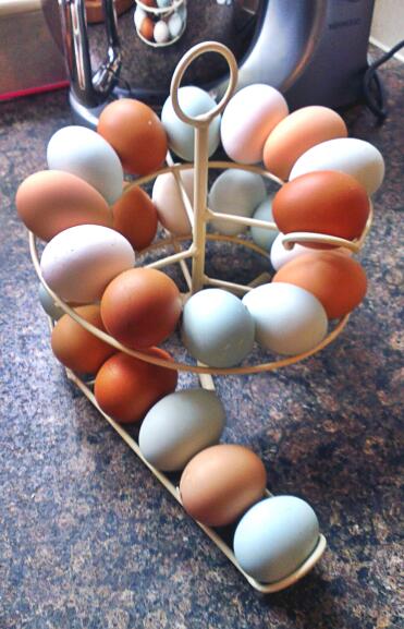 Egg skelter ist der perfekte weg, um meine schönen eier zu zeigen und sie gleichzeitig nach datum zu ordnen. ich liebe es!!!
