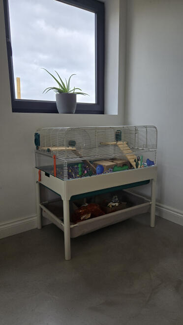 Der aufbewahrungskorb ist so praktisch, um all unser hamsterzubehör aufzubewahren!