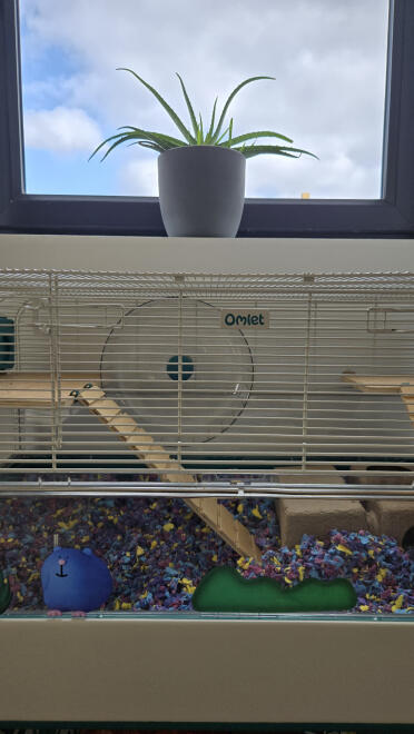 Wir haben unseren hamsterkäfig mit rampen ausgestattet und lieben sie!