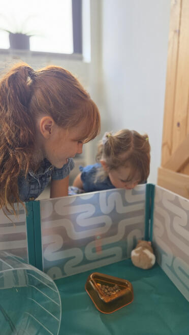 Der bodenschutz ist ein sehr praktisches merkmal des hamsterlaufstalls