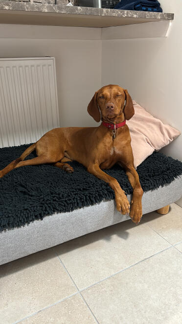 Sehen sie sich an, wie GorGeouns ich in meinem neuen bett aussehe.