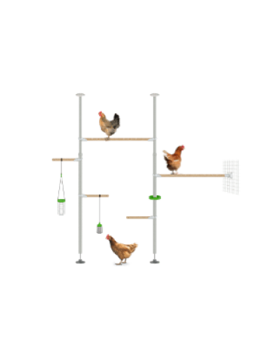 Poletree hühnerbaum barsch system hühnerstall einrichtung