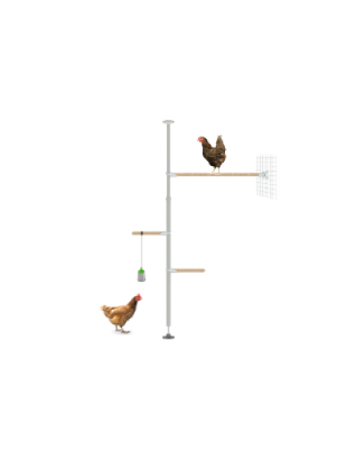 Das eggcercise kit für Poletree individuell gestaltbarer barschbaum