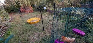 Einen garten mit vielen geräten für die hühnerhaltung.