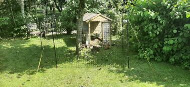 Ein hühnerzaun, der in einem garten, um einen baum und einen hühnerstall herum installiert wird