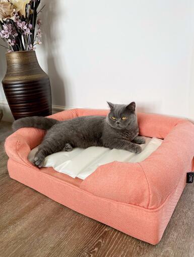 Eine katze, die sich auf einer kühlen matte ausruht, die auf einem katzenbett liegt.
