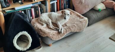 Wir lieben dieses neue bett!