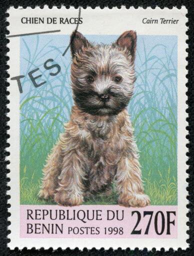 Ein cairn terrier auf einer westafrikanischen briefmarke