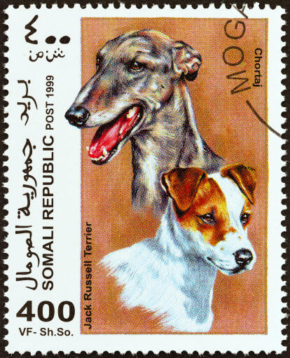 Ein jack russell terrier und ein chortaj auf einer afrikanischen briefmarke