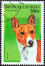 Ein basenji auf einer westafrikanischen briefmarke 1