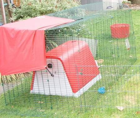 Customer Images - Eglu Go Chicken Coop - ( 13 of 13 )