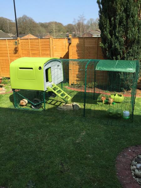 Eglu Cube Chicken Coop | Chicken Keeping | Shop | Omlet UK