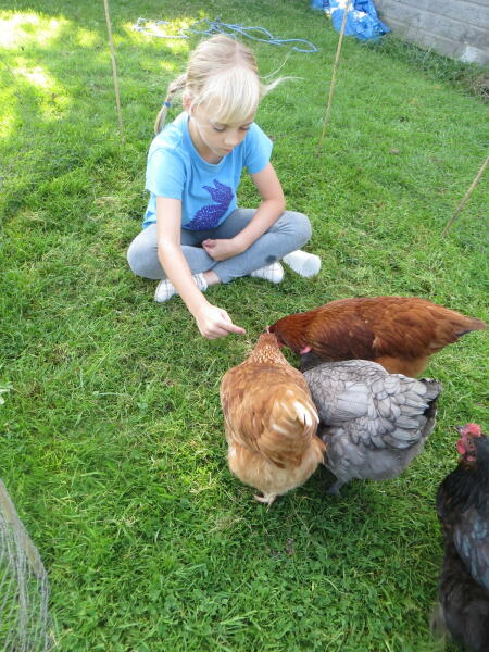 Eglu Cube Chicken Coop | Chicken Keeping | Shop | Omlet Australia