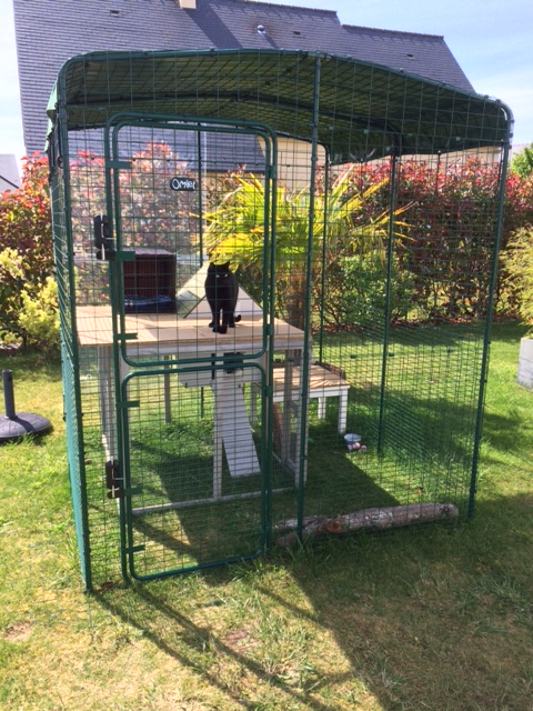 Outdoor Katzengehege Katzen Omlet