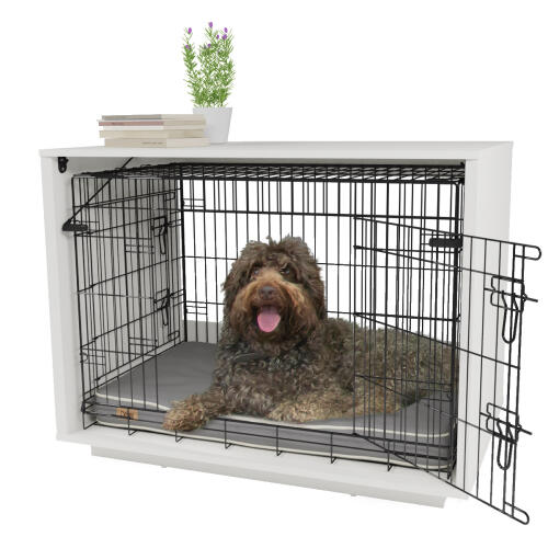 Fido Nook 36 mit kiste weiß