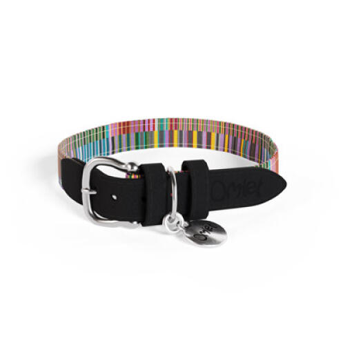 Medium pawsteps elektrisches designer hundehalsband