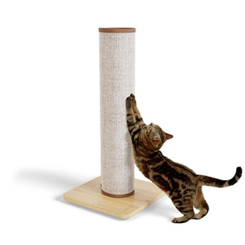 Switch sisal-kratzbaum für katzen - creme