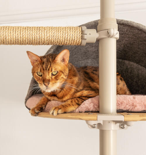 Eine katze, die in der rosafarbenen schafsfell-höhle sitzt.