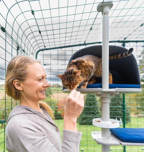 Eine frau, die ihre katze auf dem kratzbaum Freestyle streichelt