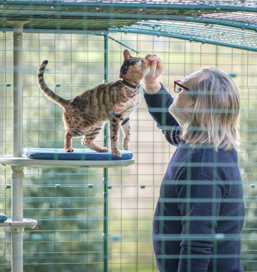 Ein mann verbringt zeit mit seiner katze auf dem kratzbaum im freien Freestyle 