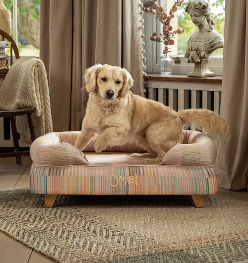 Labrador springt von erhöhten nackenrolle hundebett in pawsteps natürlichen druck mit hölzernen quadratischen füße.