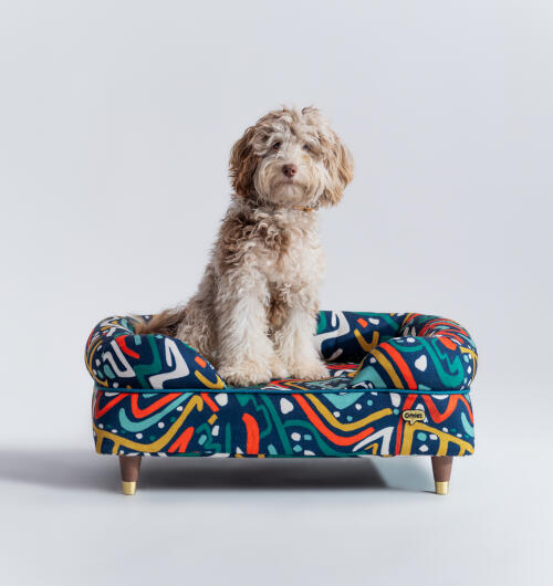 Flauschiger hund in einem bunten nackenrollenbett