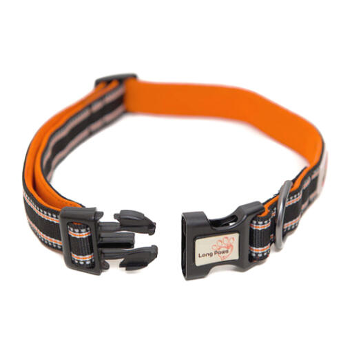 Lange pfoten komfort gepolstert hundehalsband schwarz & orange