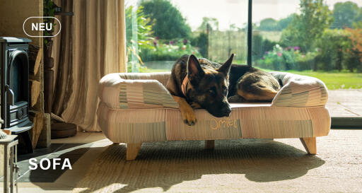 Dog walk collection nackenrolle hundebett