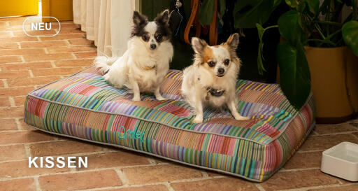 Dog walk collection kissen hundebett