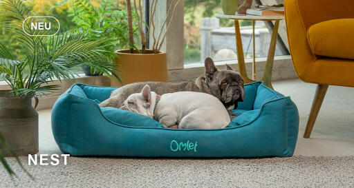 Dog walk collection nest hundebett