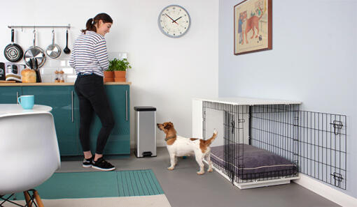 Fido-Studio-dans-une-cuisine