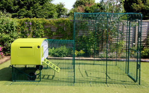  Eglu Cube mit auslauf, der mit hilfe eines verbindungssatzes an einen begehbaren hühnerauslauf angeschlossen wird