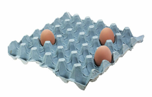 Blaue eierschalen mit drei eiern