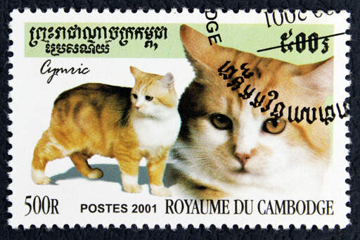Eine briefmarke aus kambodscha mit einem aufgedruckten cymric