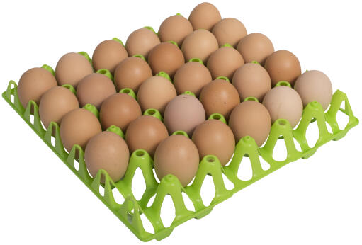 Gaun grüne eier tray