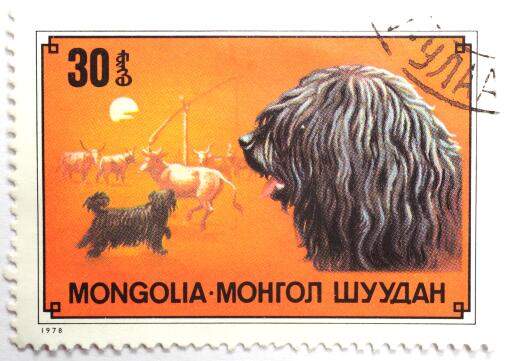 Ein puli auf einerGolian briefmarke