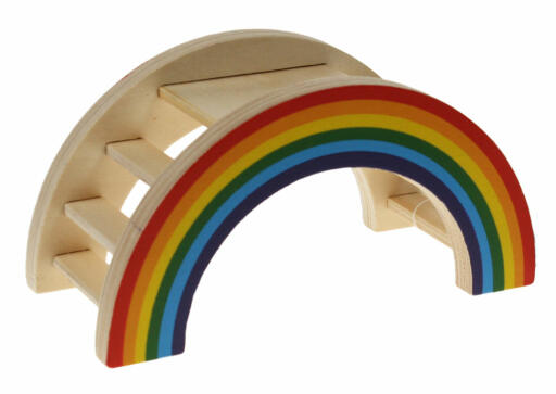 Die regenbogen-spielbrücke hat stufen und eine plattform für hamster.