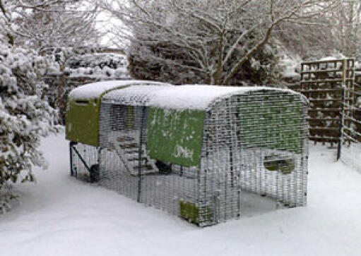 Grün Eglu Cube und im garten laufen, bedeckt mit Snow