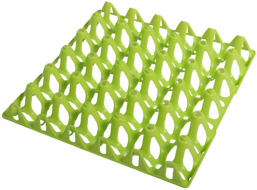 Gaun grüne eier tray