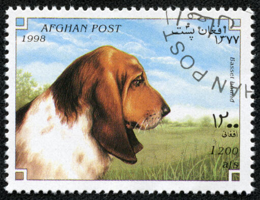 Ein basset hound auf einer afghanischen briefmarke