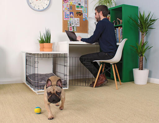 Ein mann saß an einem schreibtisch mit einer Fido hundebox, an der ein kleiderschrank befestigt war