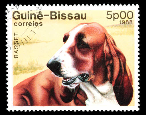 Ein basset hound auf einer westafrikanischen briefmarke