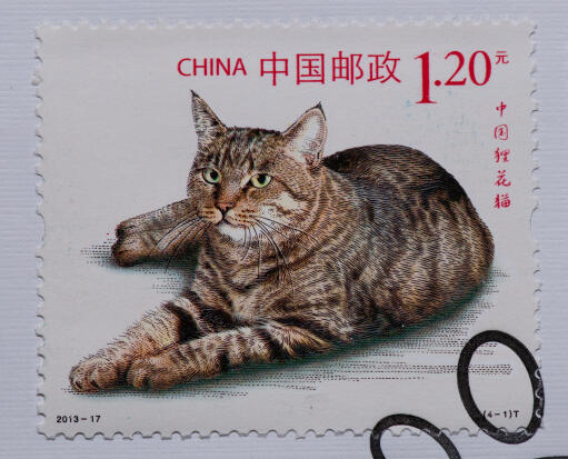 Eine briefmarke aus china mit dem aufdruck einerGon li cat