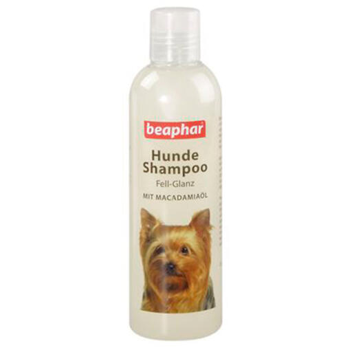 Beaphar hundeshampoo fellglanz (250ml)
