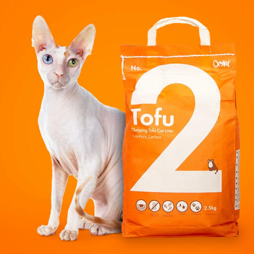 Eine tüte tofu-katzenstreu mit einer dahinter stehenden weißen katze