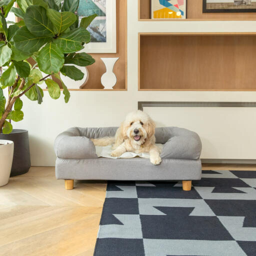 Hund liegend auf Omlet memory foam bolster hundebett mit runden quadratischen füßen