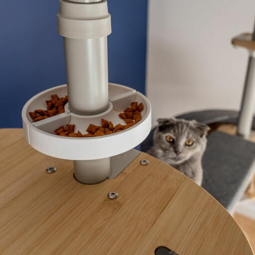 Katze schaut auf Freestyle boden bis zur decke kratzbaum leckerbissen schüssel