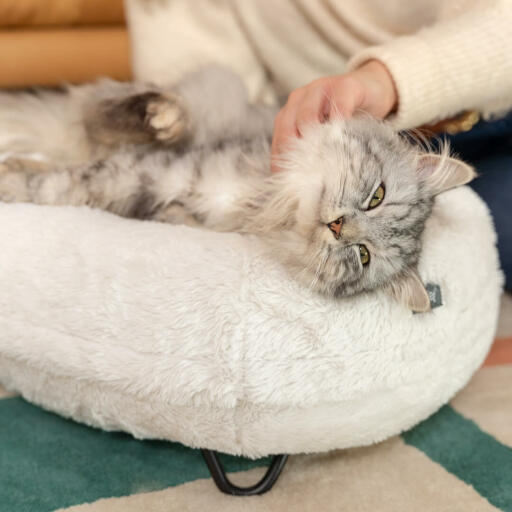 Katze liegt und wird gekitzelt auf Omlet Maya donut katzenbett in Snowball weiß und schwarz hairpin füße