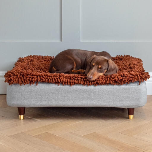 Dackel schlafend auf Topology hundebett mit mikrofasertopper und holzfüßen mit messingkappen